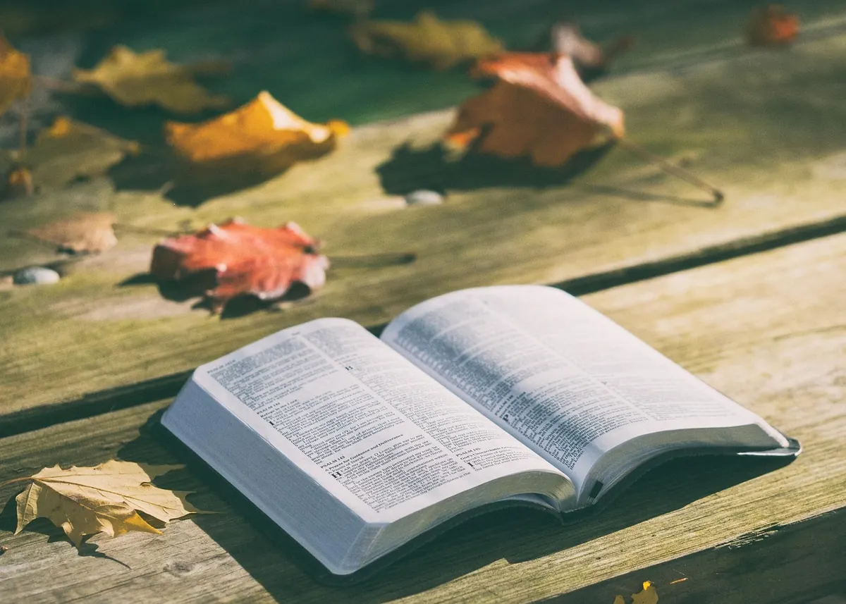 What Is Covenant Theology? A Beginner's Guide to the Bible's Unifying Story